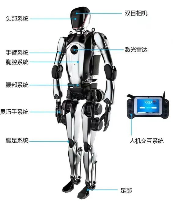 人形机器人2024：不相信梦想，只相信落地